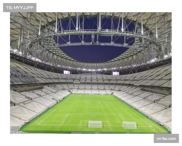 FIFA评估世界杯场馆，人工草皮技术引争议